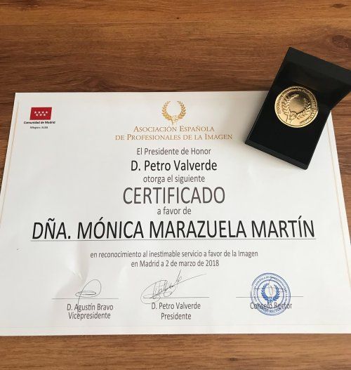 Premio Medalla de Oro